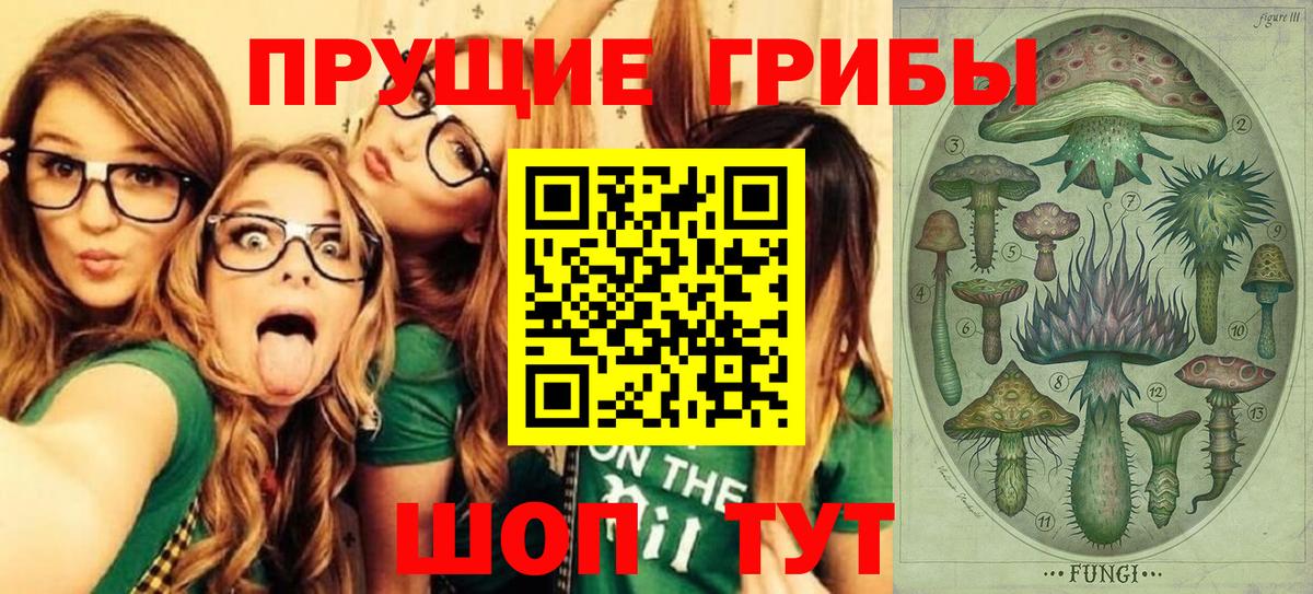 Галлюциногенные грибы прущие грибы  Галлюциногенные грибы Cubensis  Балашиха  Вход с VPN 