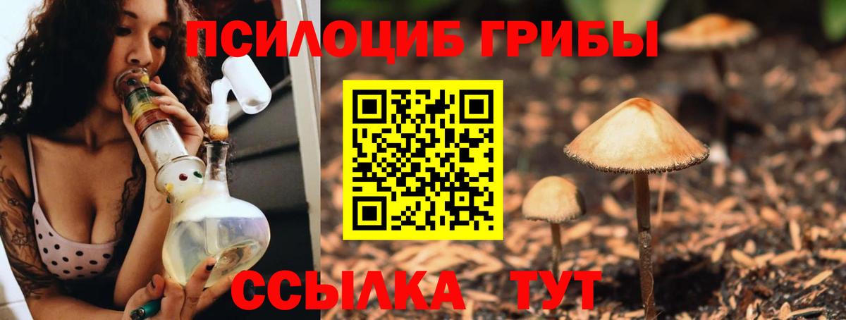 Псилоцибиновые грибы мицелий Балашиха