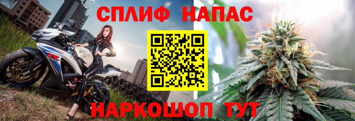Канабис сатива Балашиха